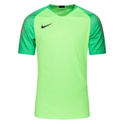 Nike Keepersshirt Gardien II - Groen/Groen/Zwart