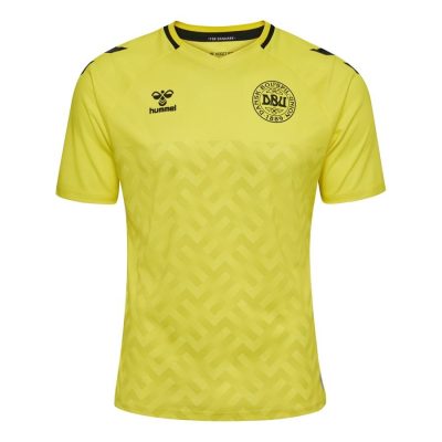 Denemarken Keepersshirt 2023/24