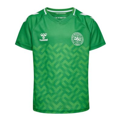 Denemarken Keepersshirt 2023/24 Kinderen