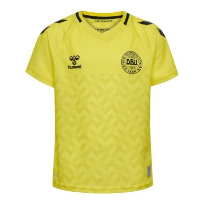 Denemarken Keepersshirt 2023/24 Kinderen