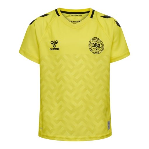 Denemarken Keepersshirt 2023/24 Kinderen